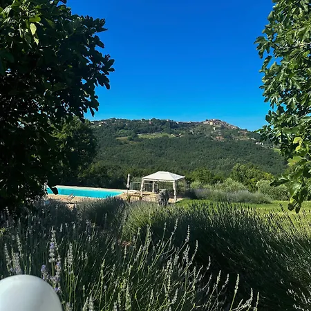 Collepetrucci 公寓 *