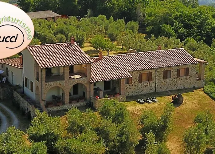 公寓 Collepetrucci Ciciano