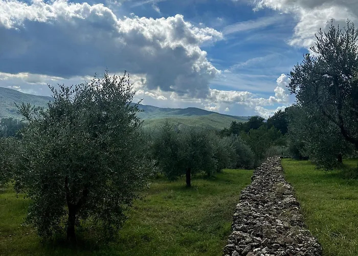 Collepetrucci * Ciciano